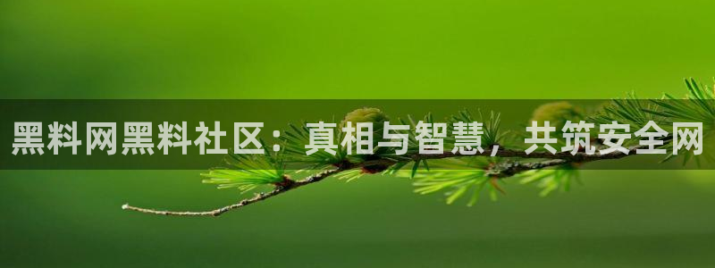 顶流男星被曝隐瞒婚史，前妻晒出聊天记录实锤
